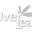 Silverleaf Elder Medicine Cannabis Seminar - Jan 11