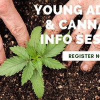 Young Adults & Cannabis Info Session